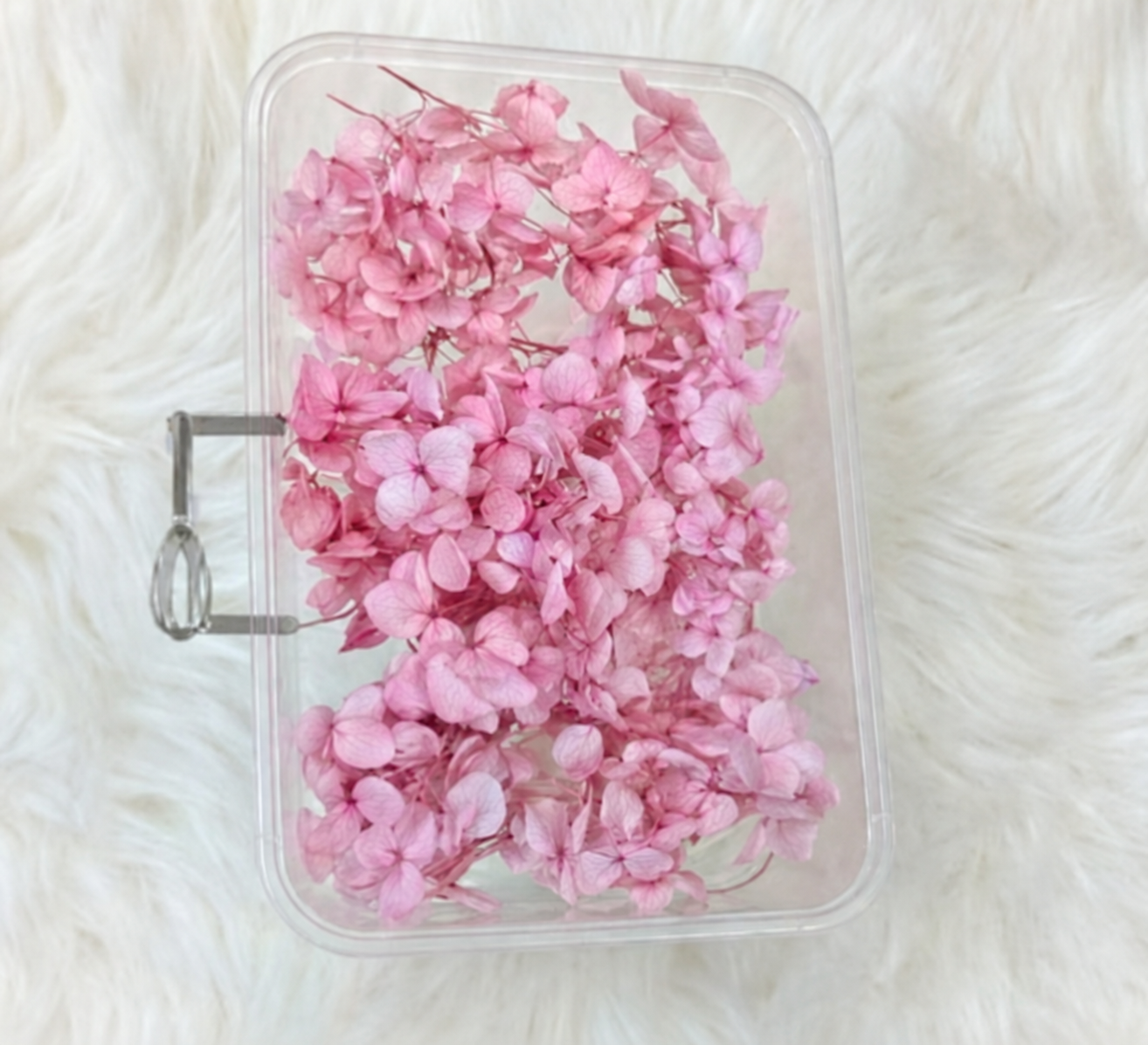 Flowers Baby Breath Pink Box 3XV