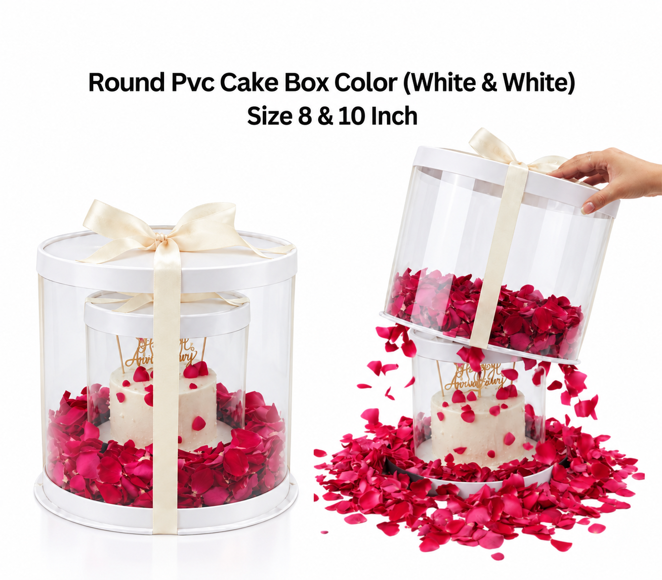 PVC Box Round Pvc Cake Box Size 8 & 10 Inch